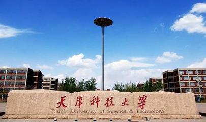 天津科技大學2021年美術類專業分數線
