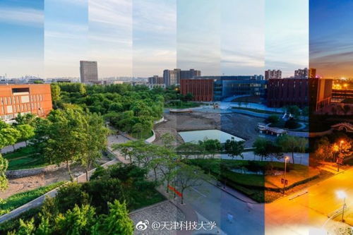 美麗校園我參與之天津科技大學