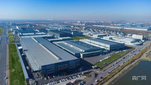 天津寧河 百鳥翔集稻蟹香 產業集聚蓄動能 央廣網