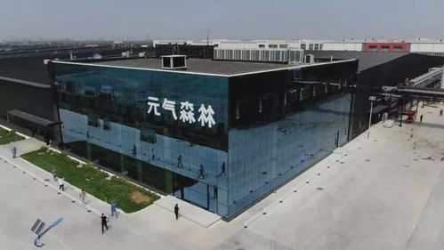 為什么元氣森林，多數品牌學不會？