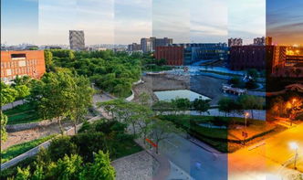 蹦床回家之路 天津科技創(chuàng)新助力全民健身新風尚